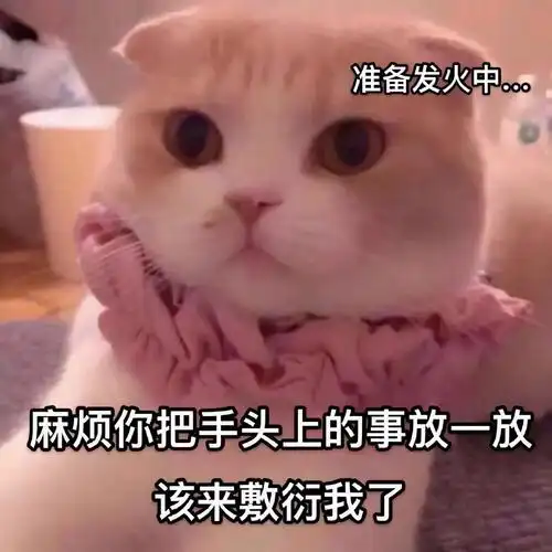 斗图表情包合集|你是亚里士多德的妹妹,珍妮玛士多吗?