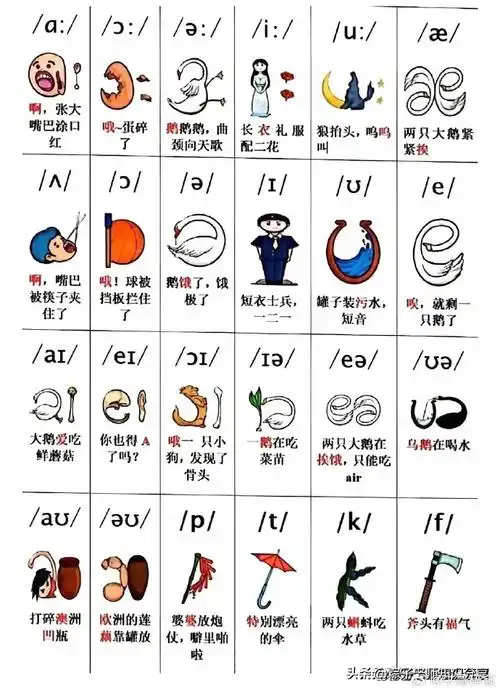 零基础娃也能从头学音标音标元音音标发音英语音标辅音音标学习英语