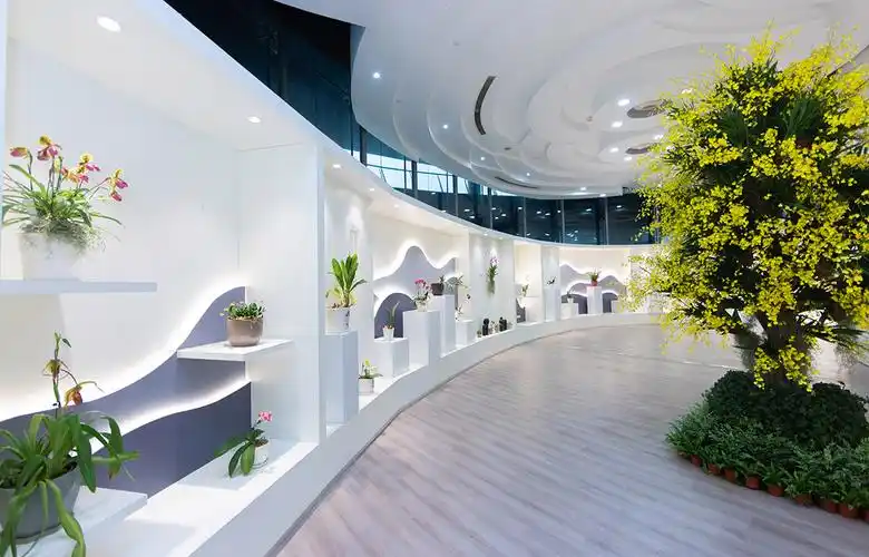 辰山植物园特色之兰展示深刻互动唤醒兰科植物保护意识