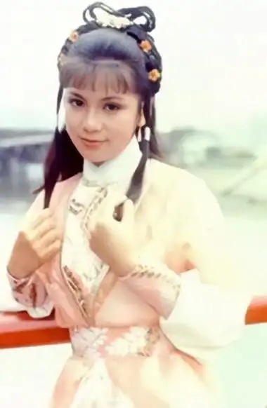 翁美玲射雕英雄传