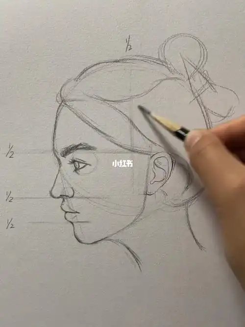 教你简单快速学会画人物侧脸的比例036902