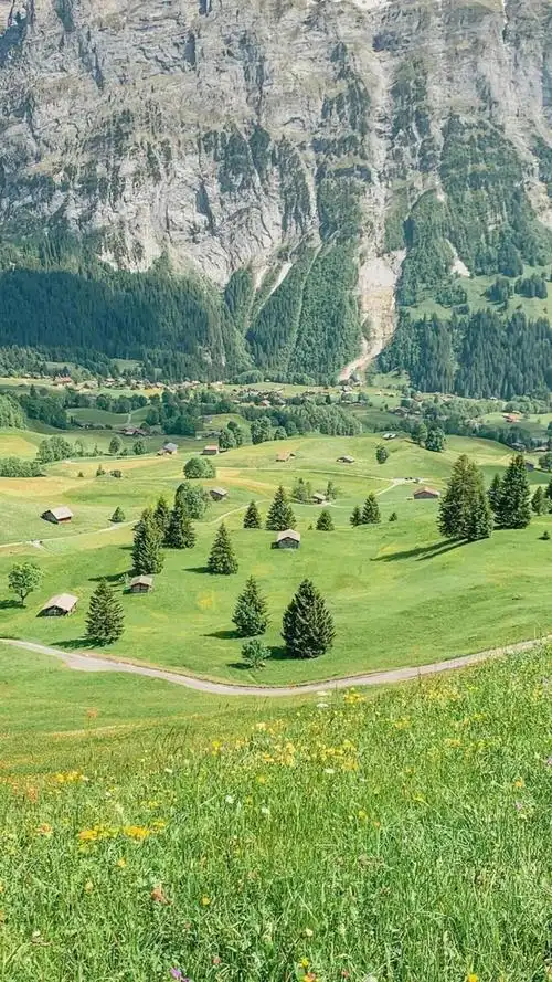 一望无际的迷人草原风景,高清图片,手机锁屏桌面-壁纸族