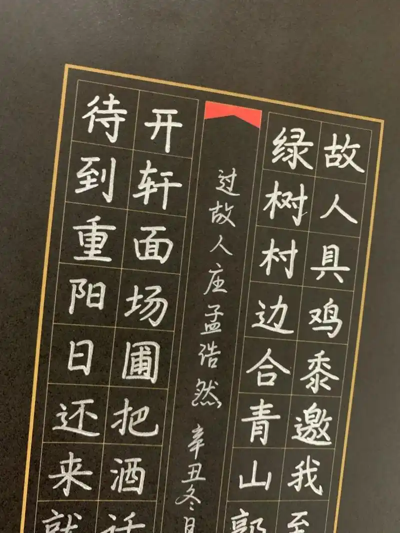 硬笔书法作品 |40字 | 手写 | 黑卡纸 |古诗 94最近我们市举办了一