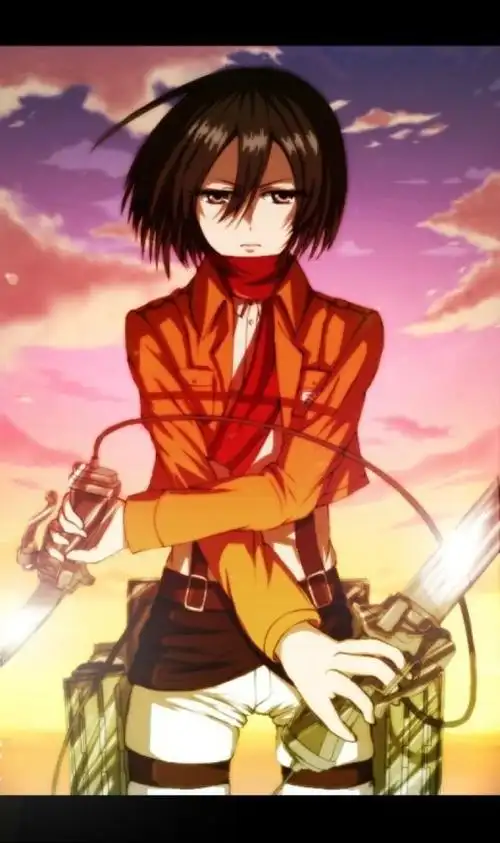 「进击的巨人」『进撃の巨人 』三笠阿克曼