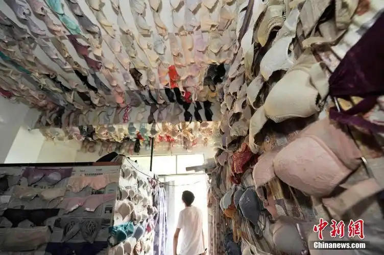 三亚男子收集5000文胸 办馆展览(震撼组图)