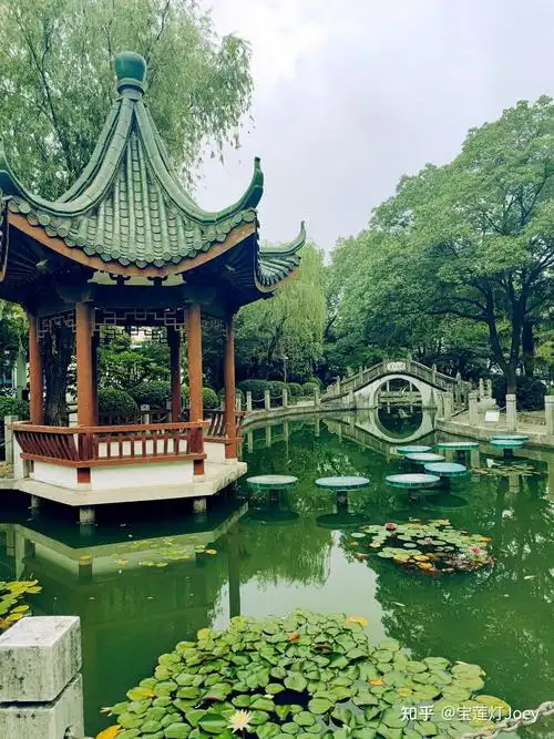 2024w287大众工业学校荷花池佛甲草小白石花境花叶美人蕉育苗盘蜀葵