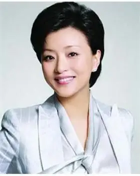 杨澜个人资料简历档案_主持人_娱乐 - 手机前瞻网
