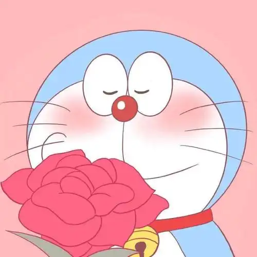 微信头像可爱熊