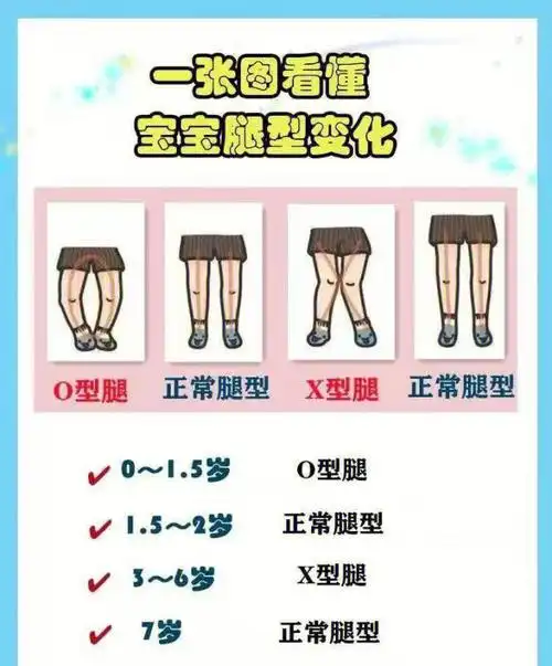 群公告今日分享宝宝腿型发育过程