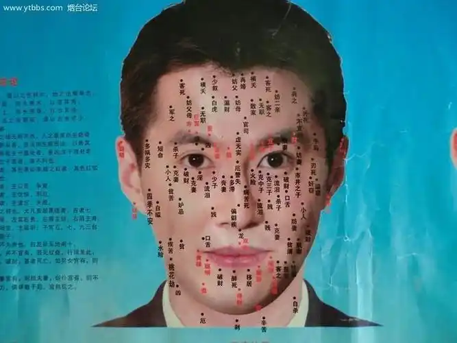 罗氏风水脸上长痣的位置与命运图解
