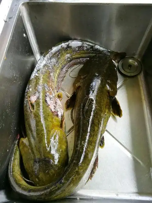 贵州物产开心国庆3日游