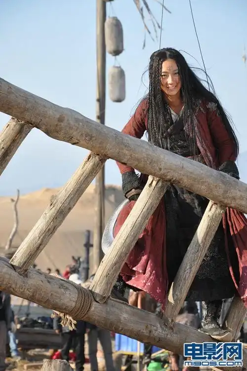 《龙门飞甲》最新海报曝光 周迅古装造型惊艳