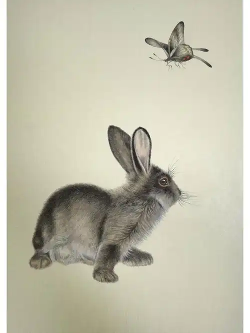 画画的日常  #兔兔  #兔子  #兔子日常  #工笔画兔  #工笔画兔子
