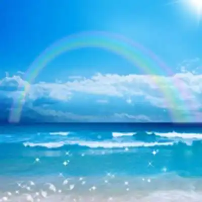 最新店铺淘客c店百单侦察兵