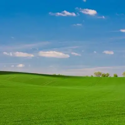 由美头网整理发布,风景头像频道提供更多与绿色风景,微信头像,草地