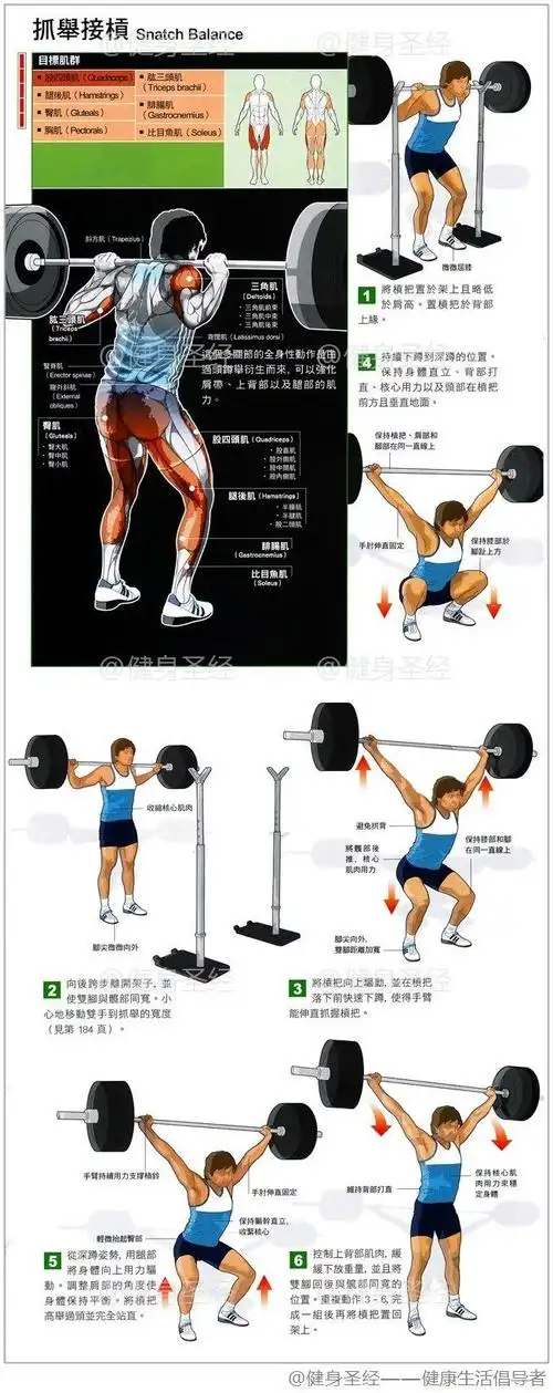 性动作是由过头蹲举衍生而来,可以强化肩带,上背部以及腿部的肌肉力量