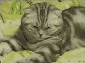 hold不住,怎么办?