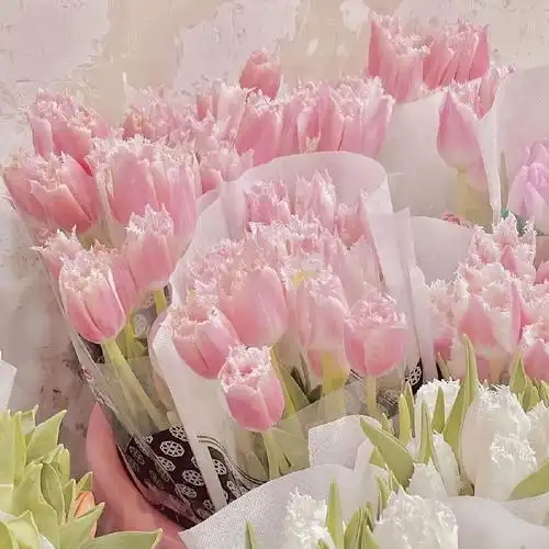 2023最新郁金香盛开风景头像_风景静物头像_我要个性网