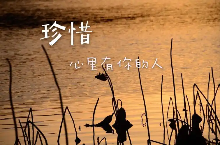 珍惜心里有你的人