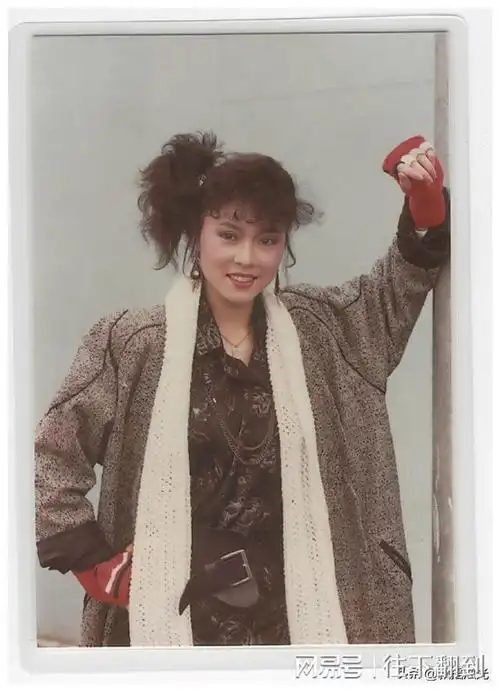 郑少秋与肥肥恋情这个大瓜,已经吃了几十年|沈殿霞|官晶华|汪明荃