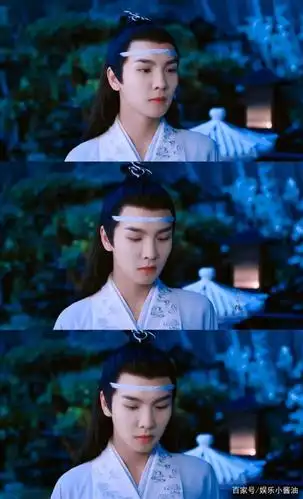 《陈情令》"蓝思追"美图分享,斯文又善良,人如其名,眼似繁星