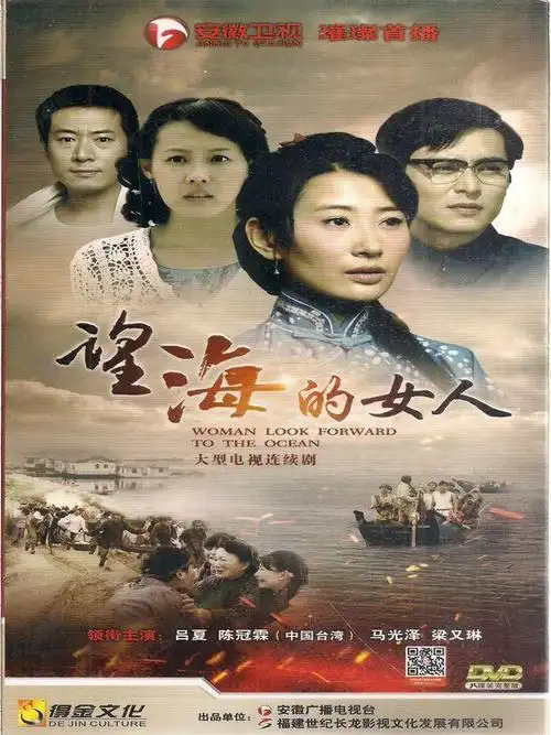 大型电视连续剧-望海的女人(八碟装完整版)dvd