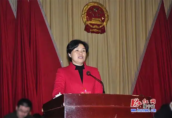 (县长罗玉梅作政府工作报告)