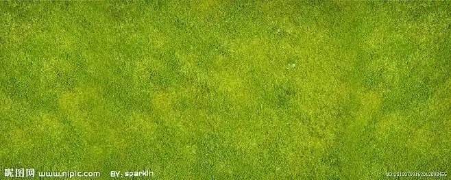 草地贴图