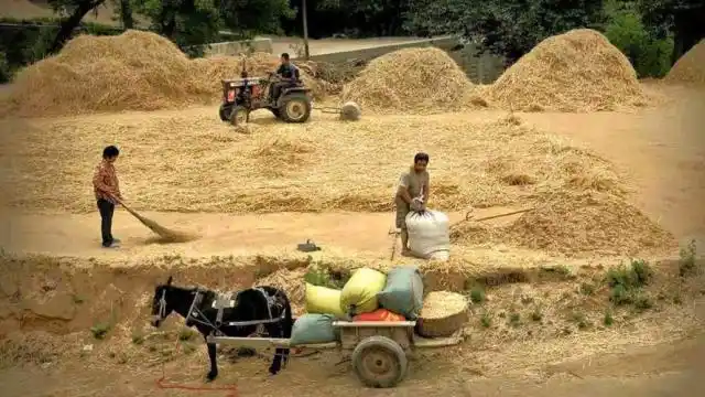 生活在农村的80后,都是30多岁青壮年,多数在为1件事苦恼