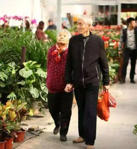 一对爷爷奶奶牵手逛街!