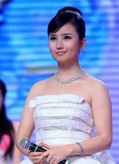 百里挑一伏玟晓个人资料及近况和图片伏玟晓离婚了吗 - 新宇视窗