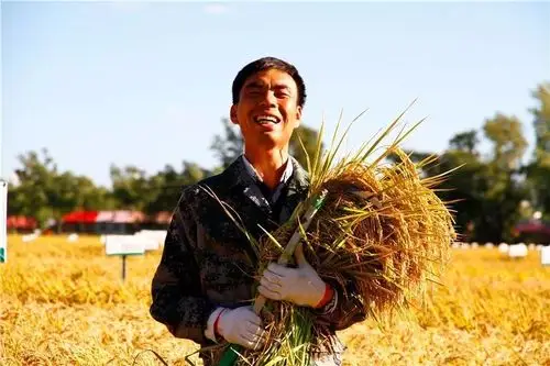 龙江丰收美摄影作品第二波来袭笑脸阅丰收