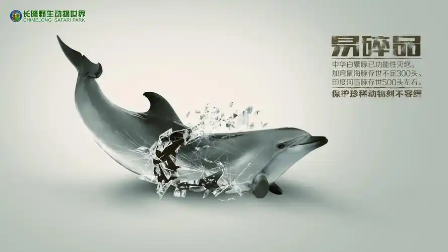 《远东豹篇》《白鱀豚篇》《犀牛篇》-他山公益-黑龙江公益广告网