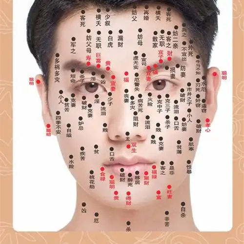 女面相痣图解大全(女人面相痣图解大全)