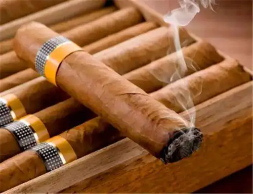 雪茄烟香烟|香烟网百科