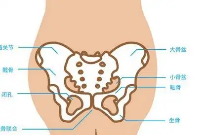 孕期最痛的是哪里?你一定猜不到.