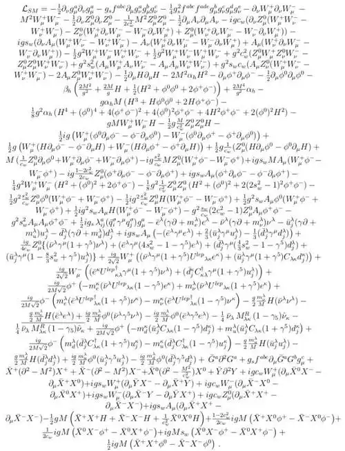 自然是标准模型的拉格朗日量了.