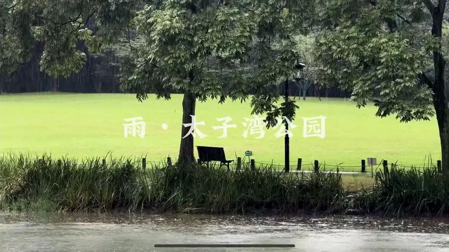 [杜比世界] "杭州"大雨漫步太子湾公园 大雨白噪声 氛围感拉满