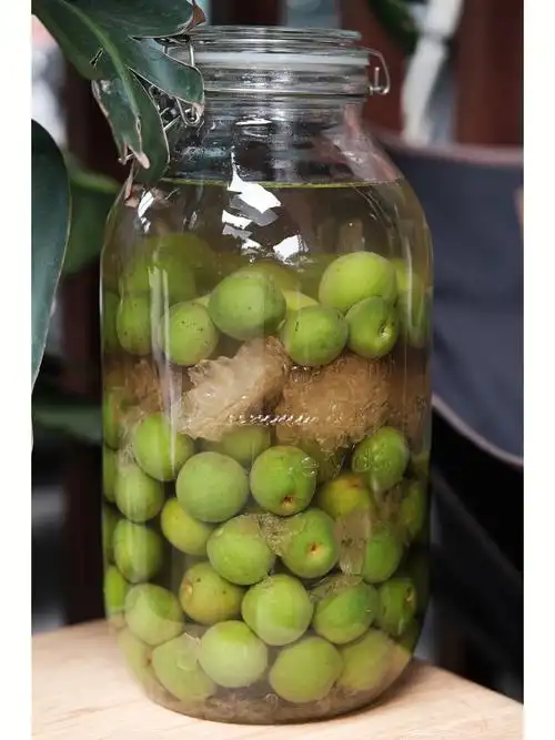 一年一泡的青梅酒