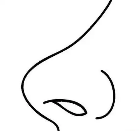 鼻子的简笔画可爱