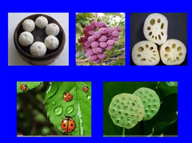 辽海版七年级上册美术4生活中的点线面课件20ppt