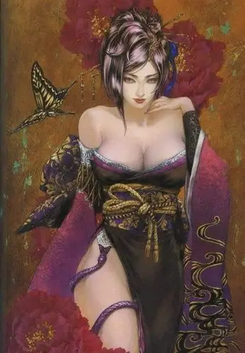 浓姬   face 8,body 9,charm 8,combat 5, total 30, 《战国无双》