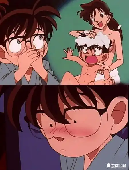 你们以为柯南真的因为小兰老爸是私人侦探才住到小兰家吗.