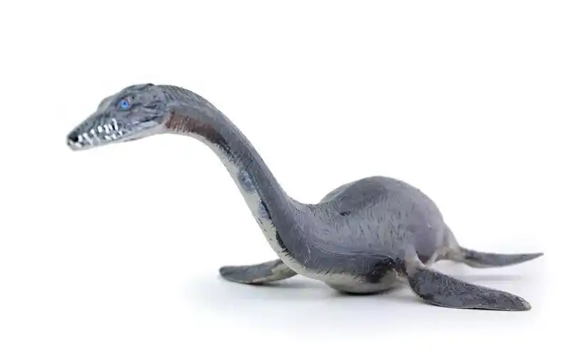 就在恐龙还称霸地球的时期,在海洋里的王者就是蛇颈龙,大概是三叠纪到