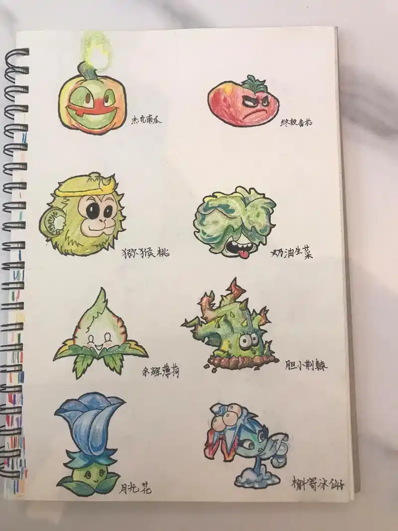 植物大战僵尸2植物绘画      新一幅画画出来了!