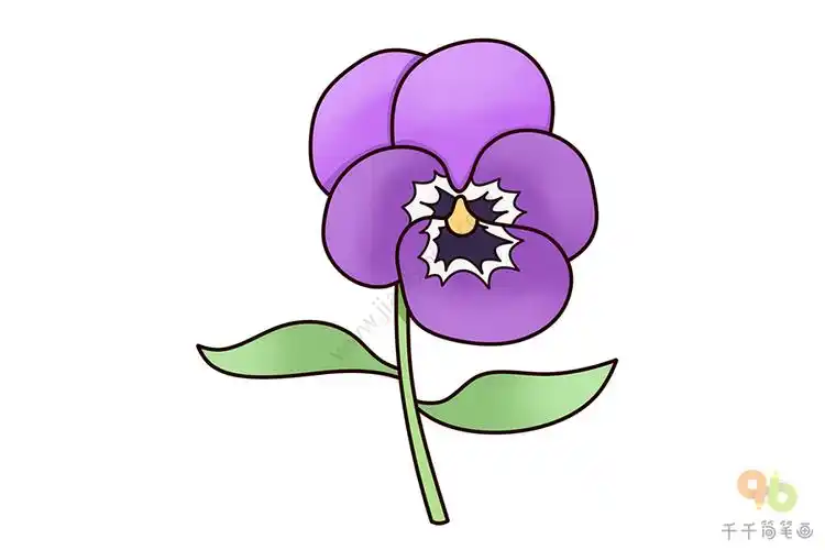 三色堇简笔画步骤教程