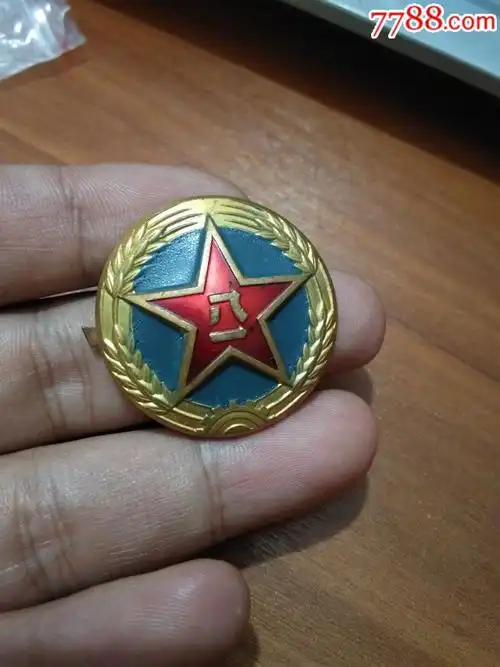 55式陆*大帽徽