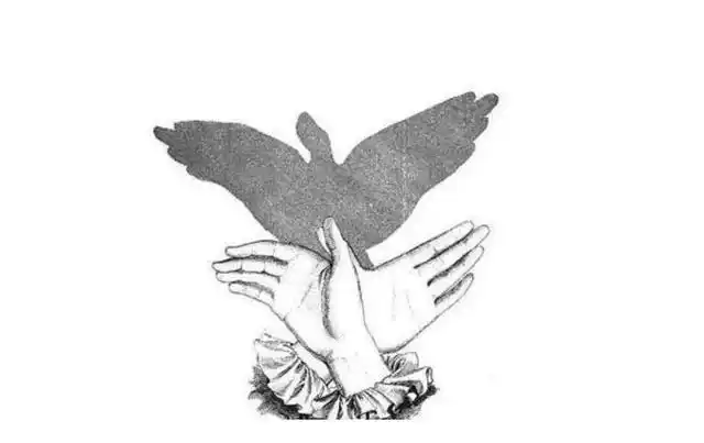 经典手影,快来收藏吧