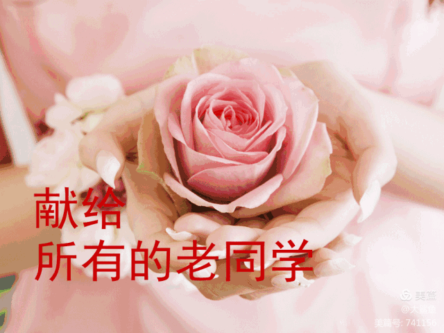 《同学情永远在心间》贺上海城校四分校同学毕业五十周年庆!