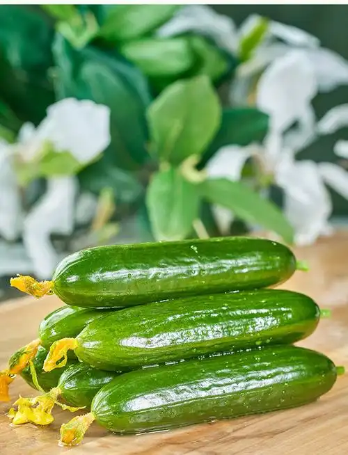 精品小乳瓜650g50g